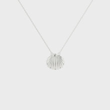 Load and play video in Gallery viewer, Seashell Necklace
